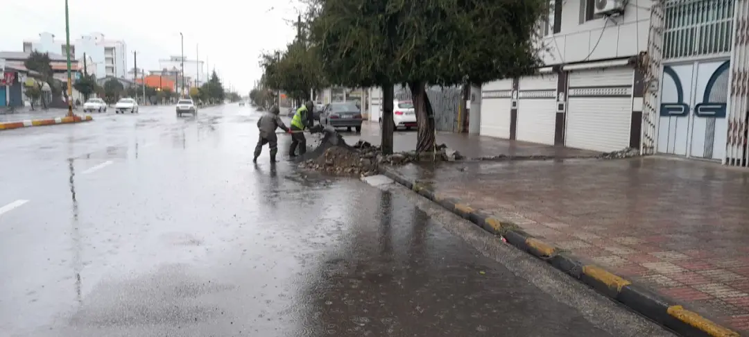 عکس خبر