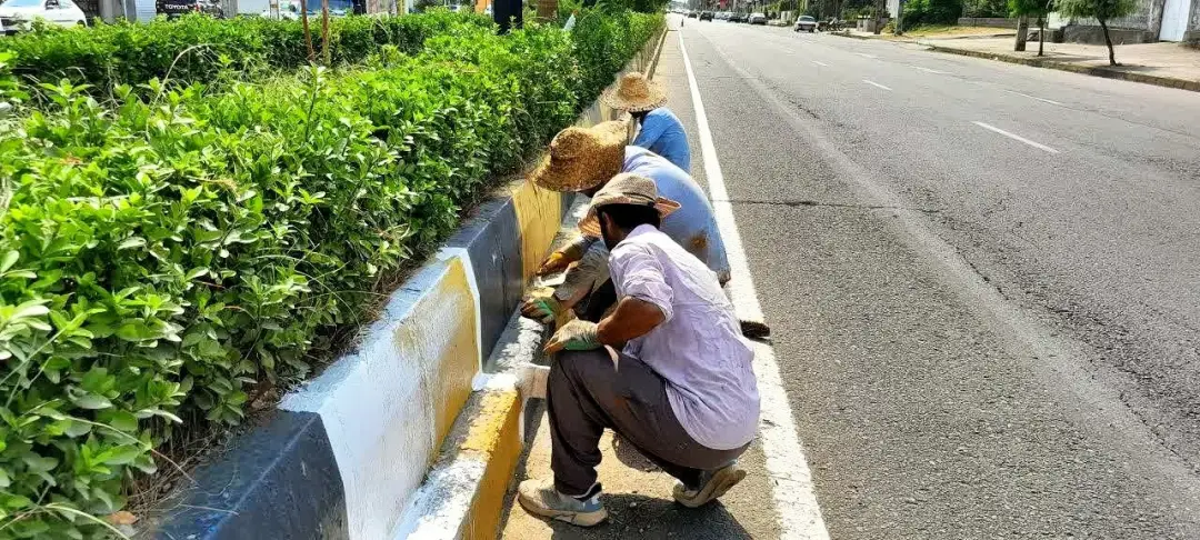عکس خبر