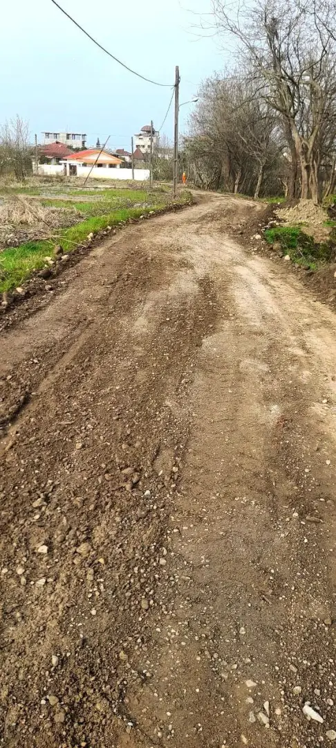 عکس خبر