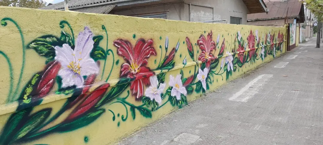 عکس خبر