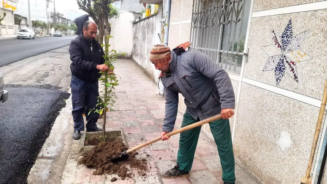 عکس خبر