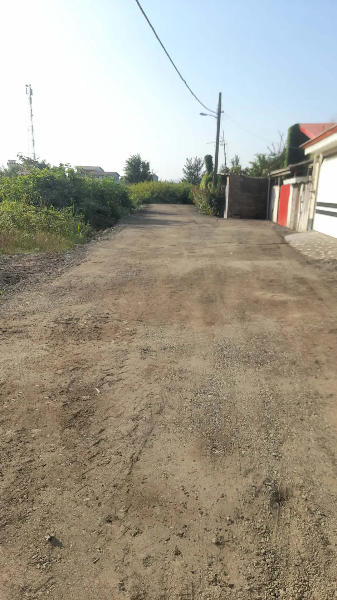 عکس خبر