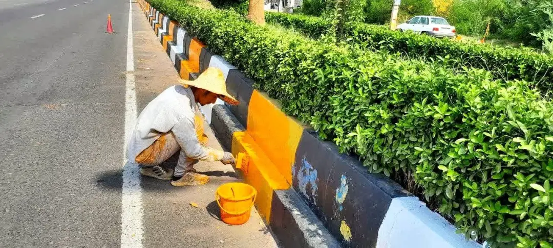 عکس خبر