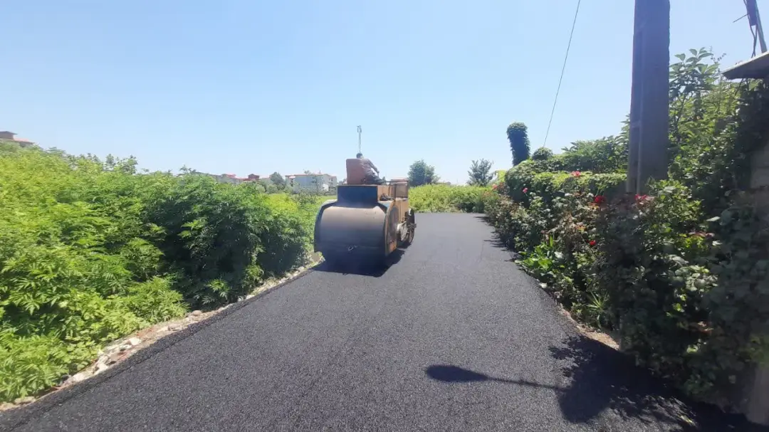 عکس خبر