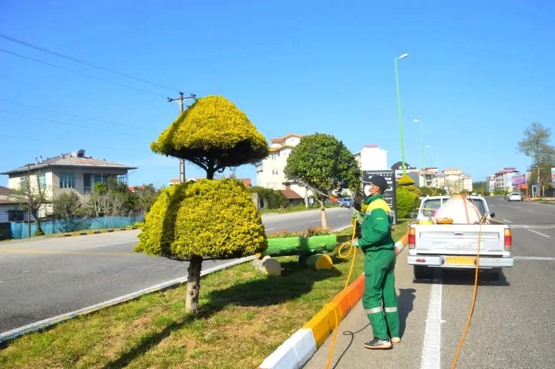 عکس خبر