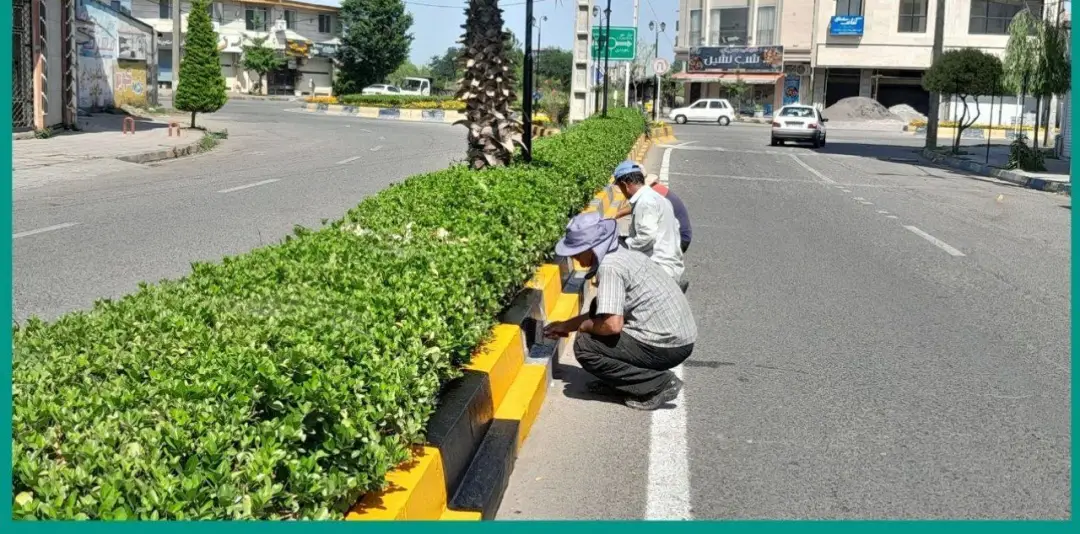 عکس خبر