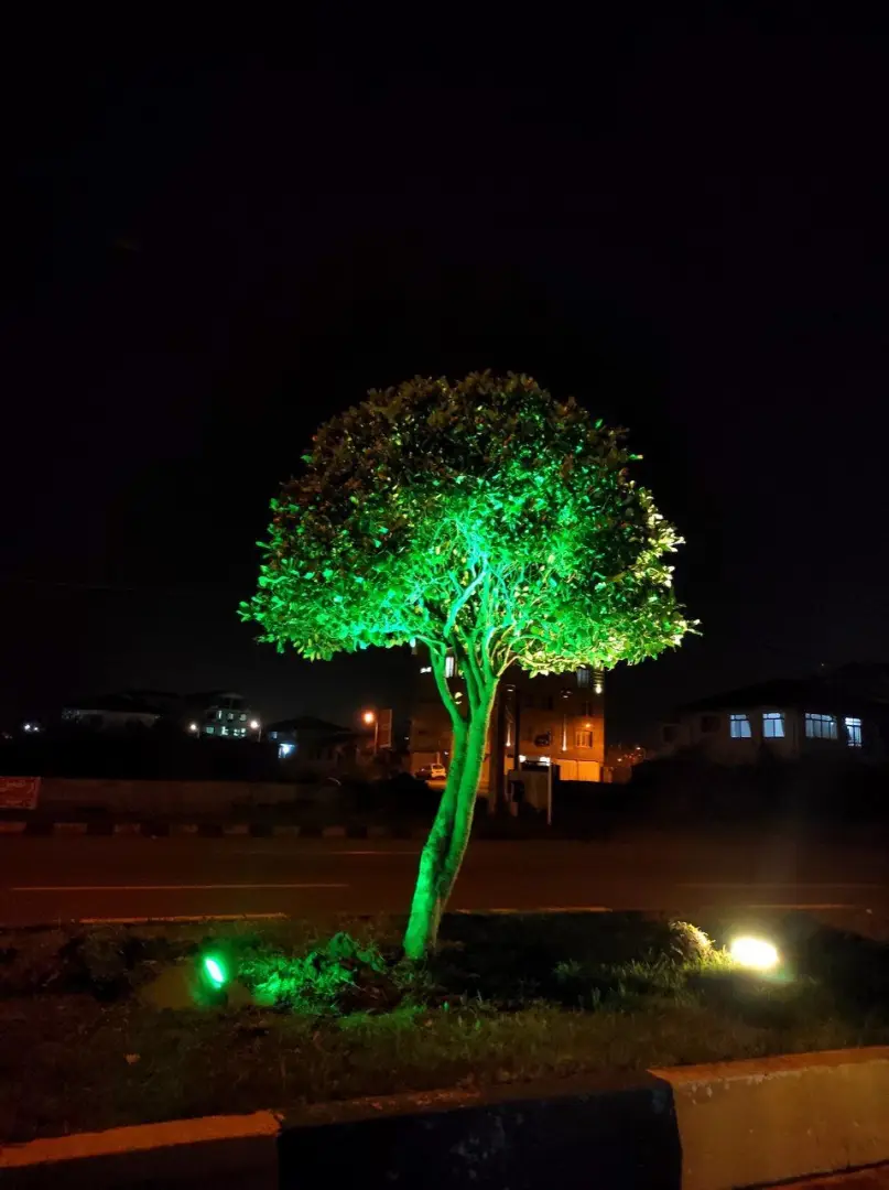 عکس خبر
