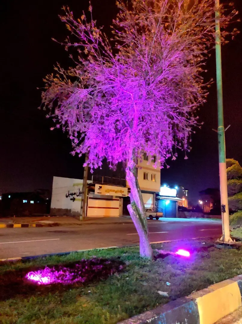 عکس خبر