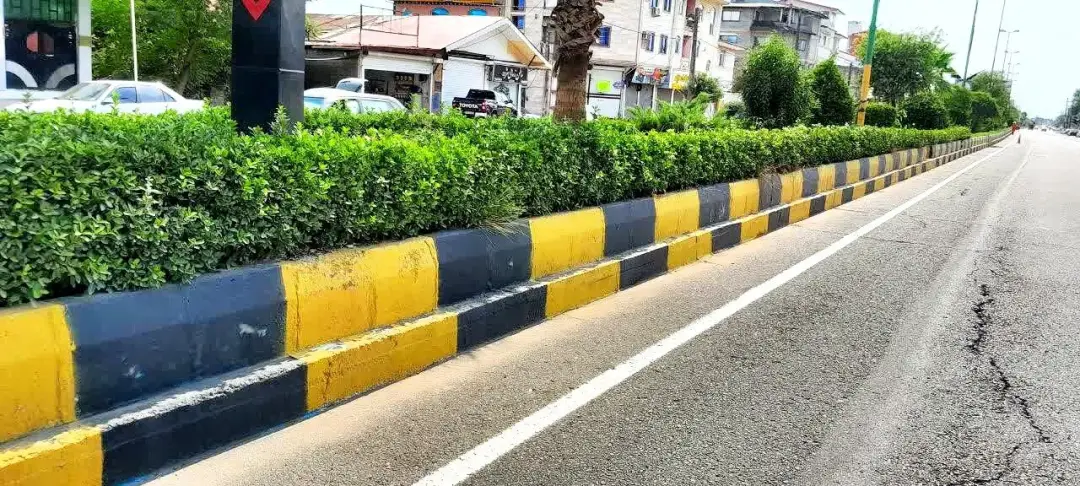 عکس خبر