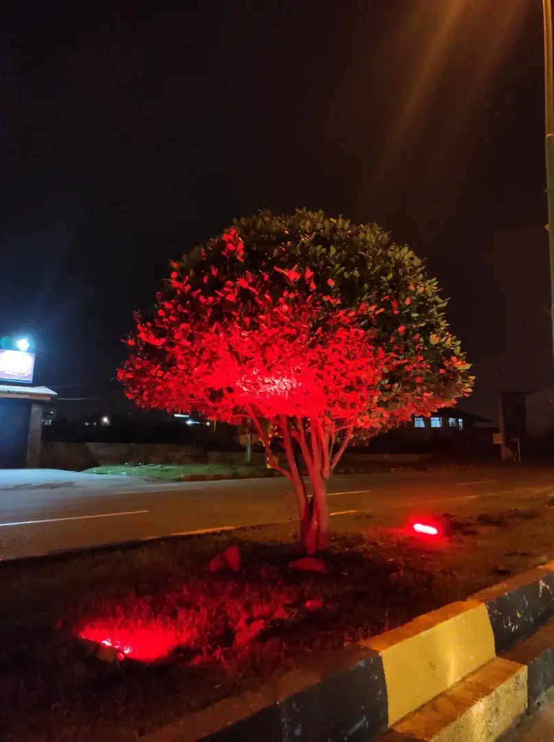 عکس خبر