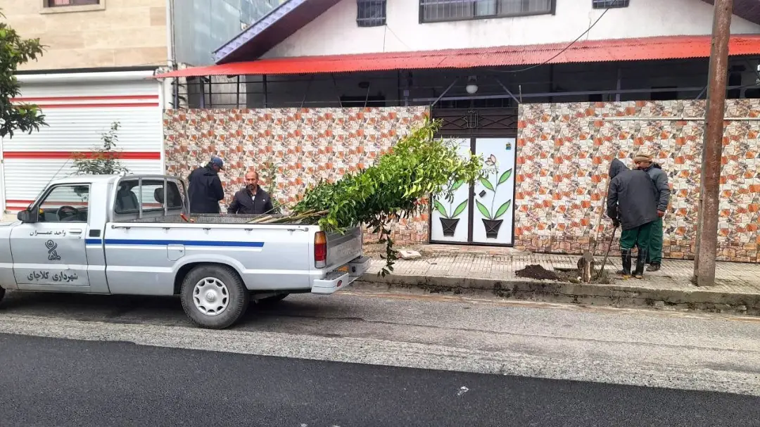 عکس خبر