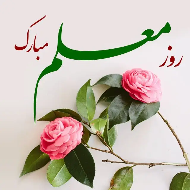 عکس خبر