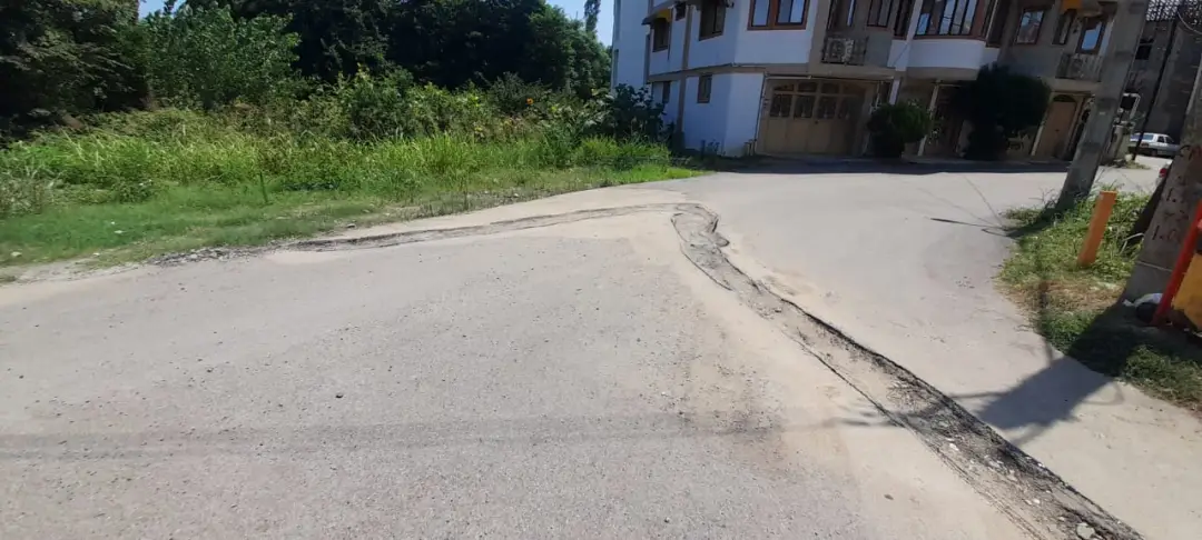 عکس خبر