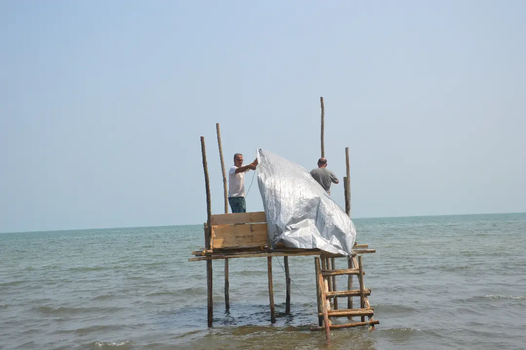 عکس خبر