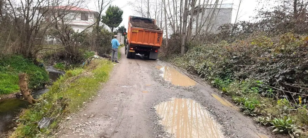 عکس خبر